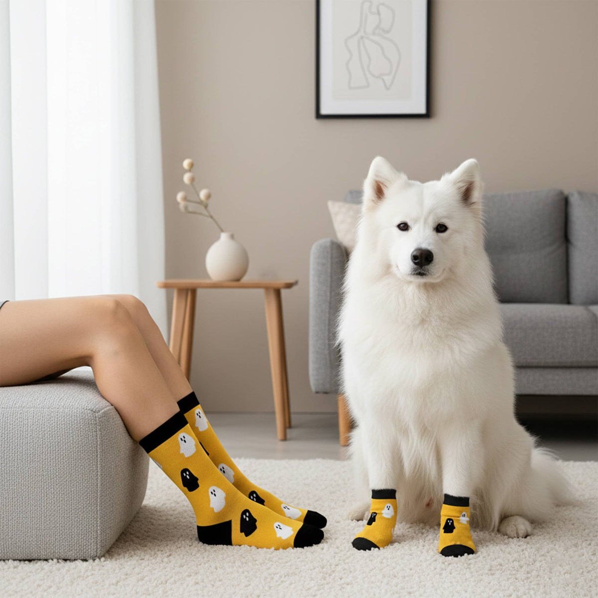 PET & OWNER HALLOWEN SOCKS WITH FREE DISPLAY (24-PAIRS)