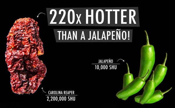 The Carolina Reaper Pepper