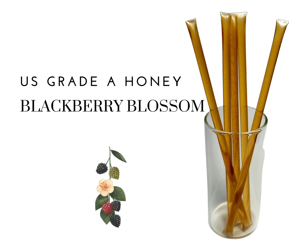 Bee Krazy Honey Sticks - Blackberry Blossom 50 Ct. Refill