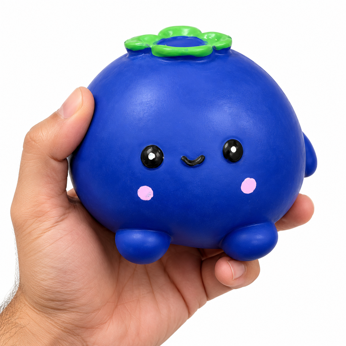 Jumbo  Blueberry Squishy